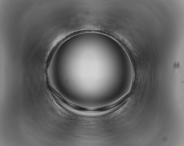 X0000090861168200707271222