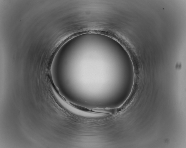 X0000090861169200707271222