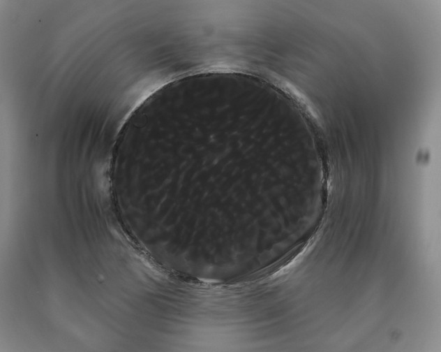 X0000090861170200707271222