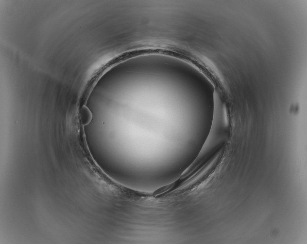 X0000090861172200707271222