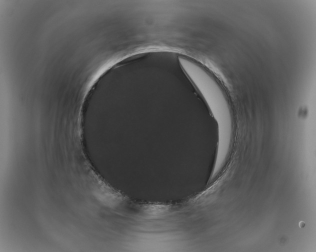 X0000090861173200707271222