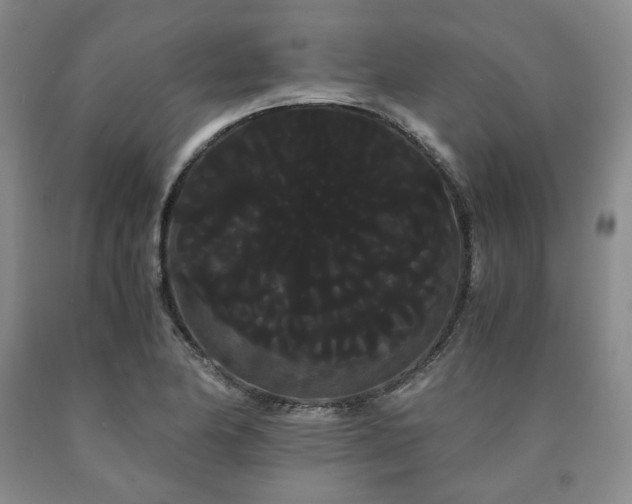 X0000090861174200707271222