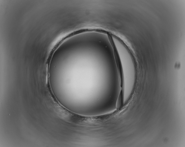 X0000090861175200707271222