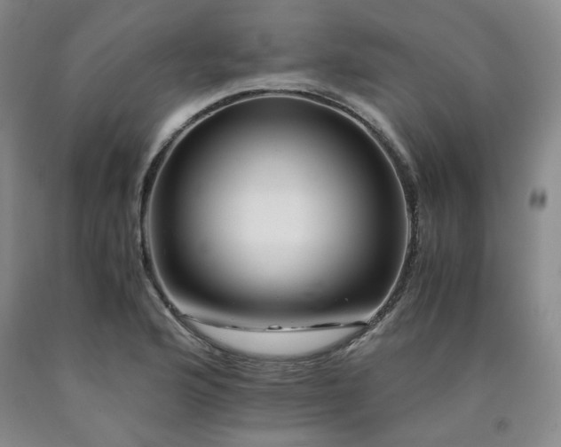 X0000090861176200707271222