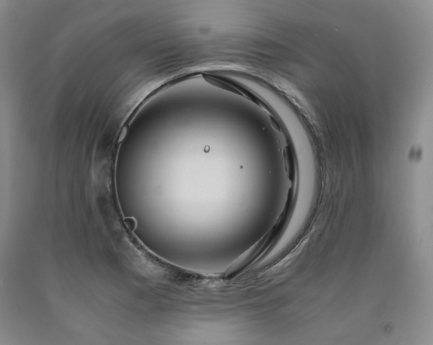 X0000090861177200707271222