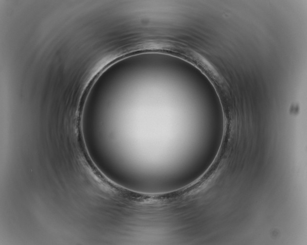 X0000090861178200707271222