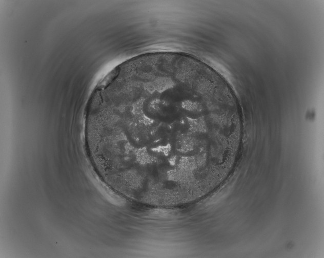 X0000090861179200707271222