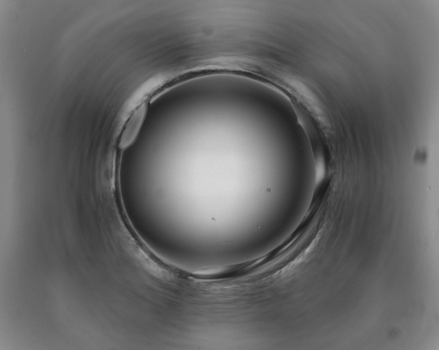 X0000090861180200707271222