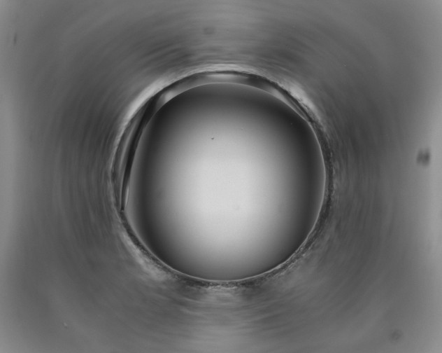 X0000090861181200707271222