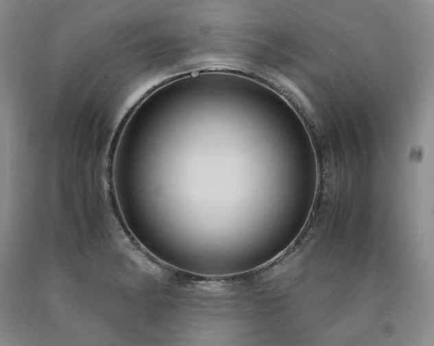 X0000090861182200707271222