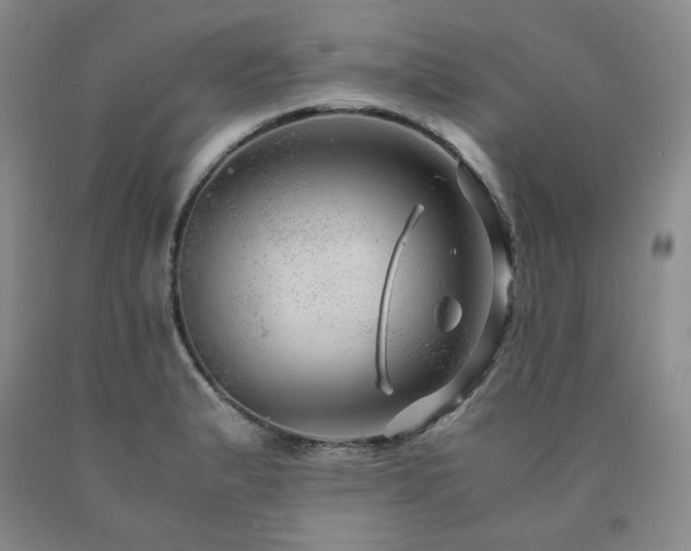 X0000090861183200707271222