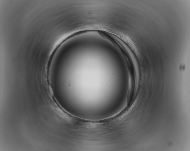 X0000090861184200707271222