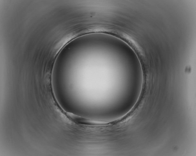 X0000090861185200707271222