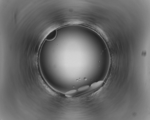 X0000090861186200707271222