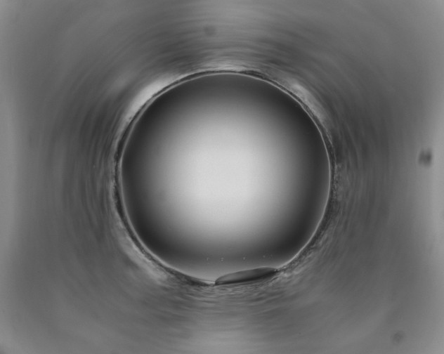 X0000090861187200707271222
