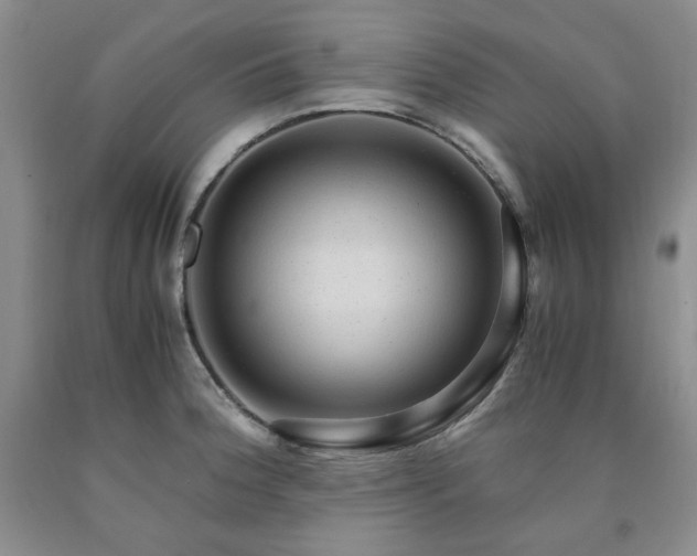 X0000090861188200707271222