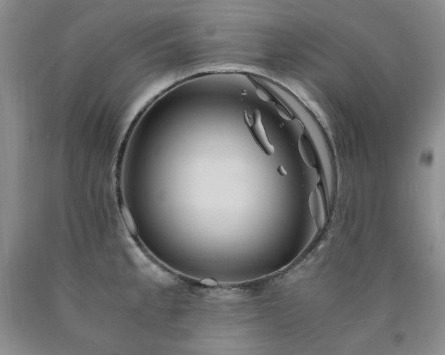X0000090861189200707271222