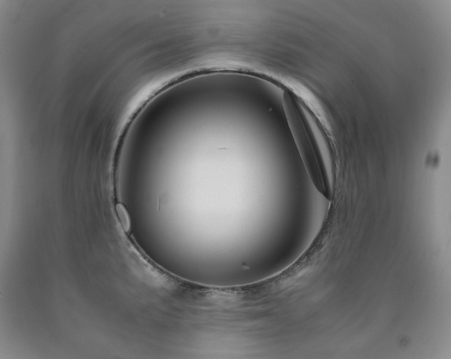 X0000090861191200707271222