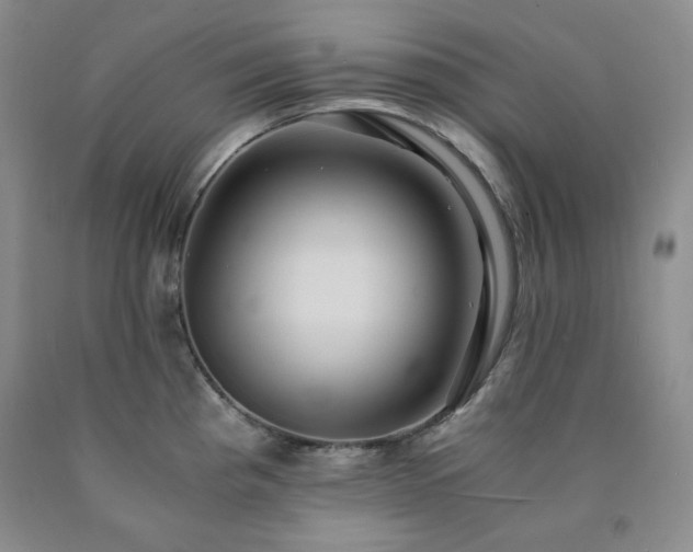 X0000090861193200707271222