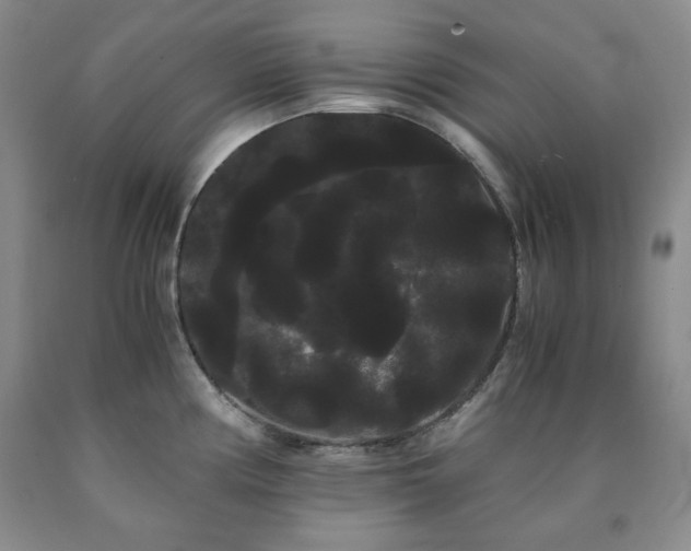 X0000090861194200707271222