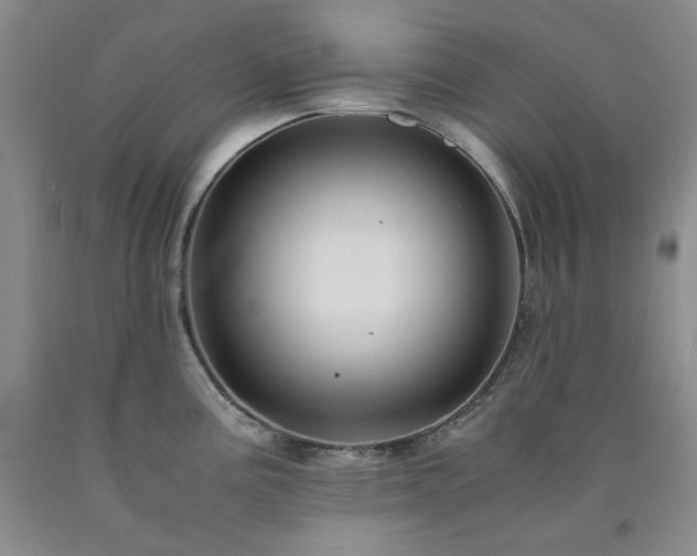 X0000090861195200707271222