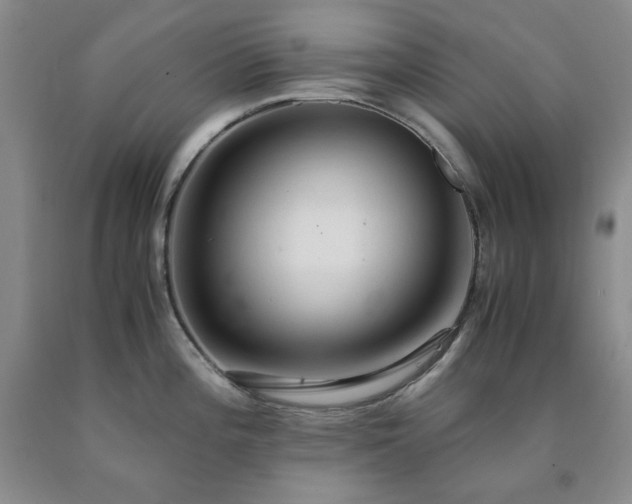 X0000090861196200707271222
