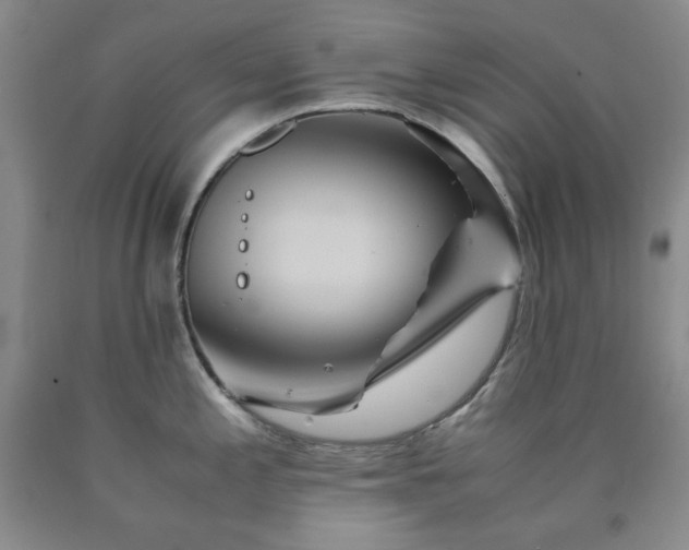 X0000090861197200707271222