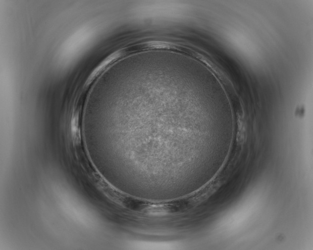 X0000090861198200707271222