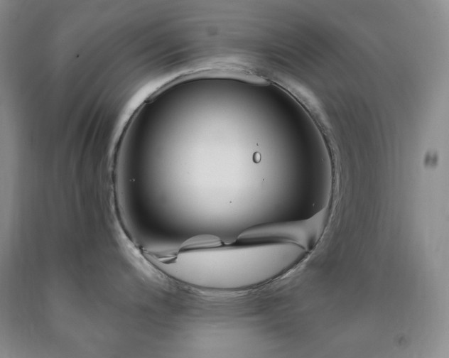 X0000090861200200707271222