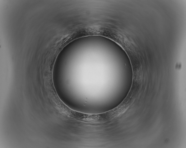 X0000090861201200707271221