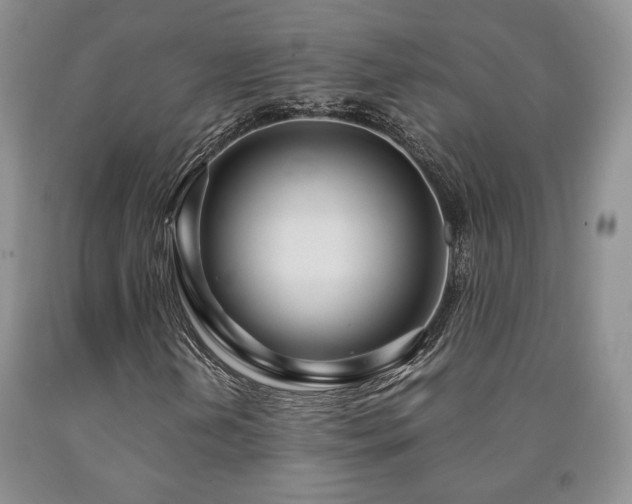 X0000090861202200707271221