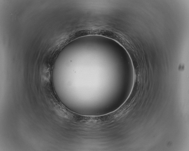 X0000090861204200707271221