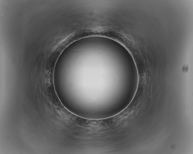 X0000090861205200707271221