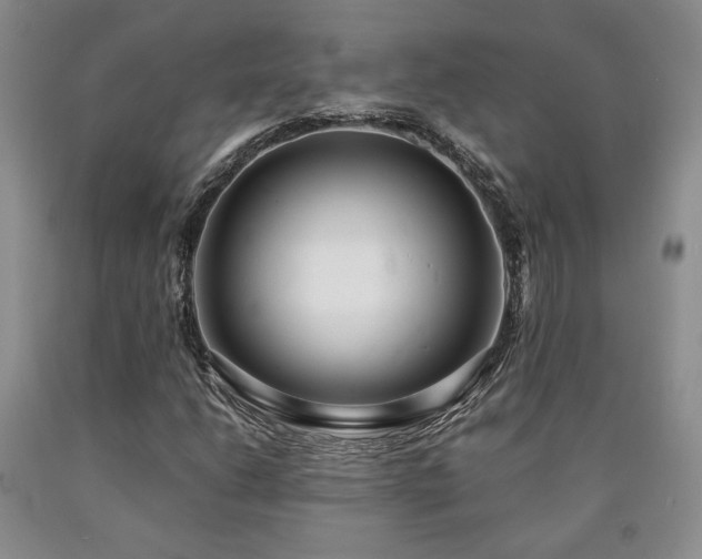 X0000090861206200707271221