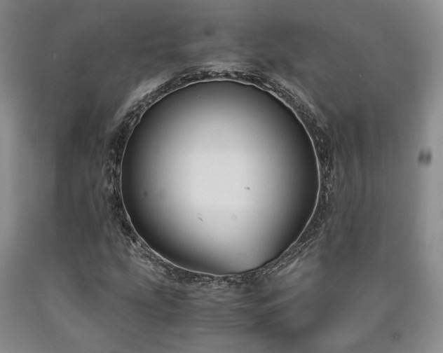 X0000090861207200707271221