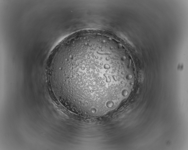X0000090861208200707271221