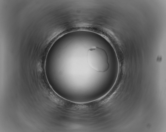 X0000090861209200707271221