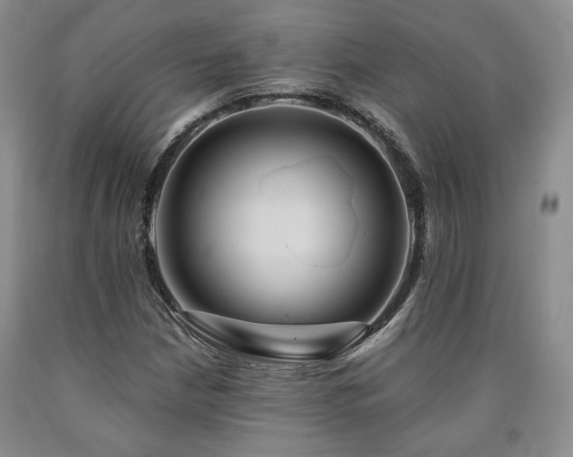 X0000090861210200707271221