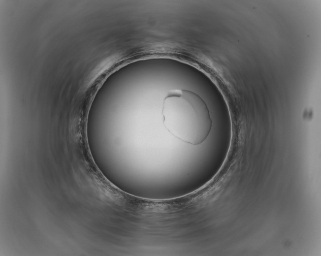X0000090861211200707271221