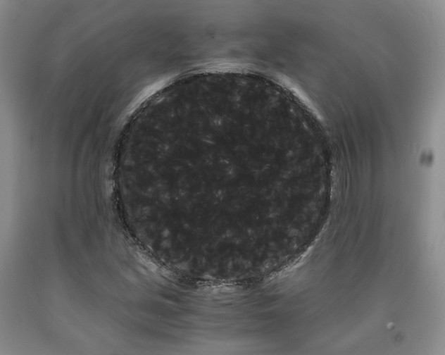 X0000090861213200707271221