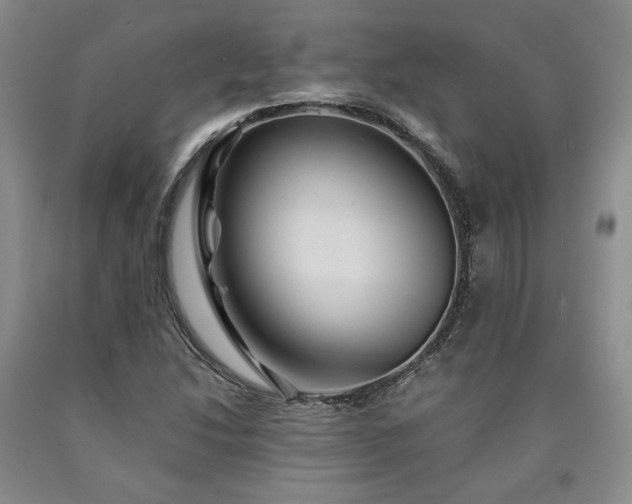 X0000090861214200707271221