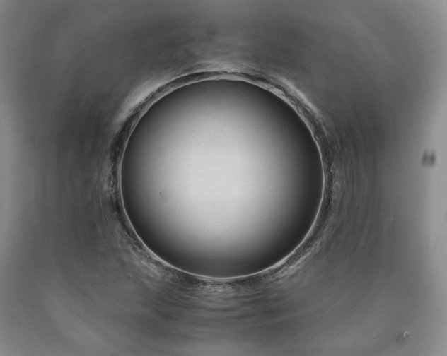 X0000090861215200707271221