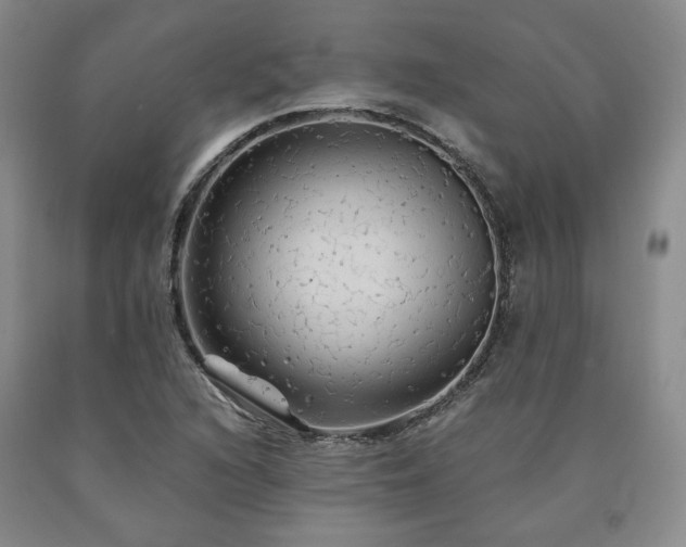 X0000090861216200707271221
