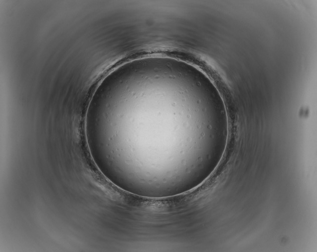X0000090861217200707271221