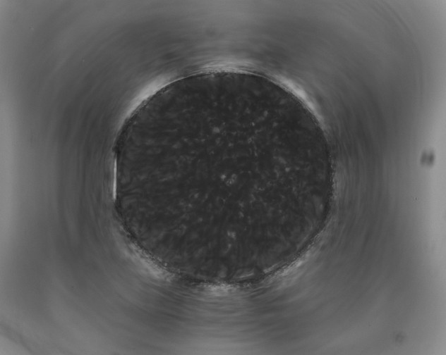 X0000090861219200707271221