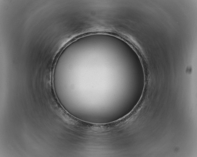 X0000090861220200707271221