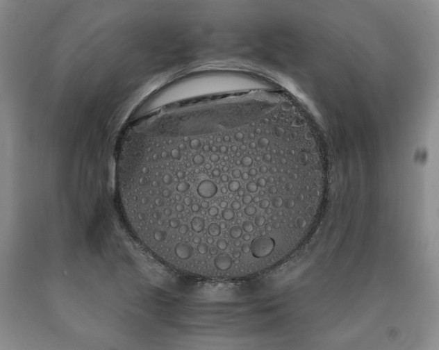 X0000090861221200707271221