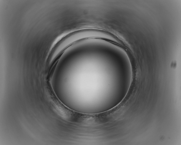 X0000090861222200707271221