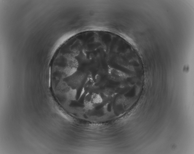 X0000090861223200707271221