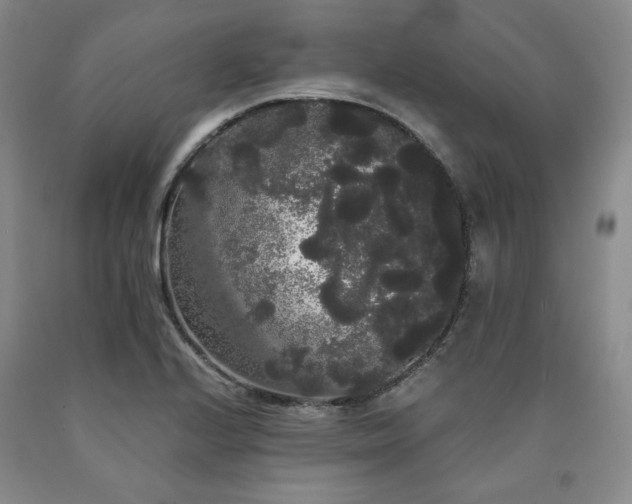 X0000090861224200707271221